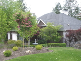 Main Photo